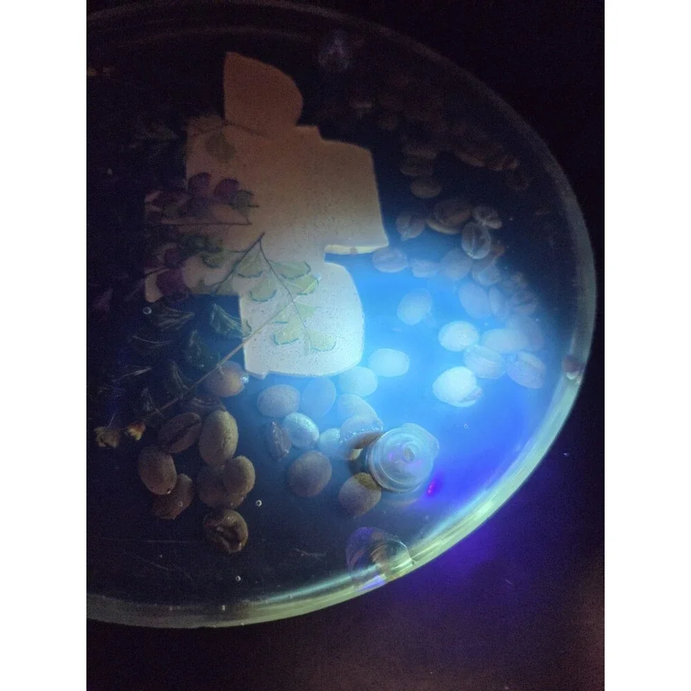 Vintage Glowing Lucite Trivet Hot Plate With Dried Botanicals